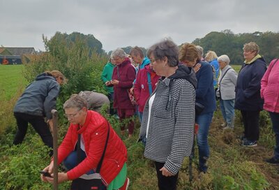 Führung mit Frau Hellbaum